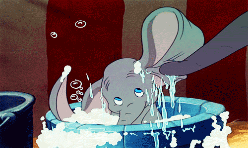 clean dumbo