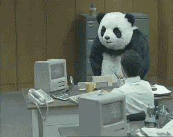 mad office panda